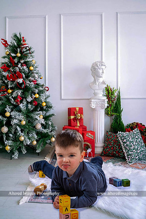Lounge with tree